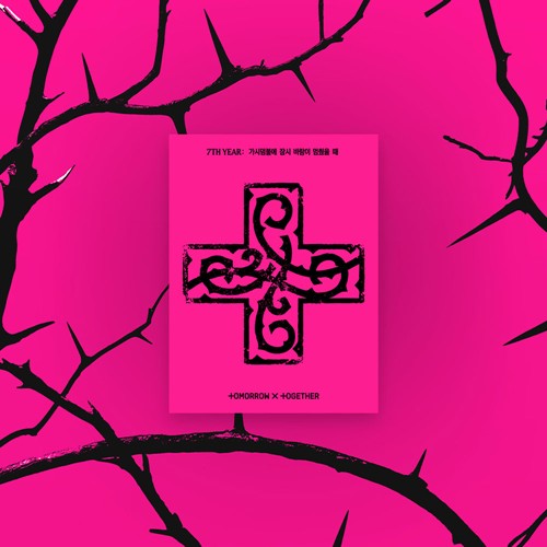 TXT – 7TH YEAR A Moment of Stillness in the Thorns (PPULBATU Ver.) (Weverse Albums ver.) RANDOM